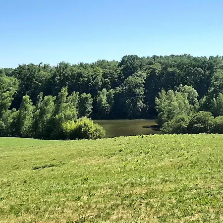 Chalet-dordogne B10 Chateau Le Verdoyer - Champs Romain, Dordogne シャレー *