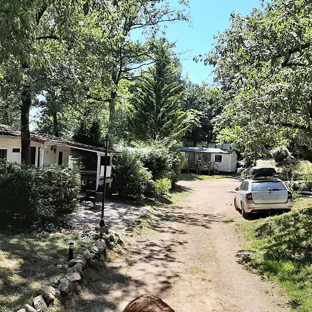 Chalet-dordogne B10 Chateau Le Verdoyer - Champs Romain, Dordogne شاليه