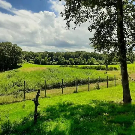 Chalet-dordogne B10 Château Le Verdoyer - Champs Romain, Dordogne Chalet