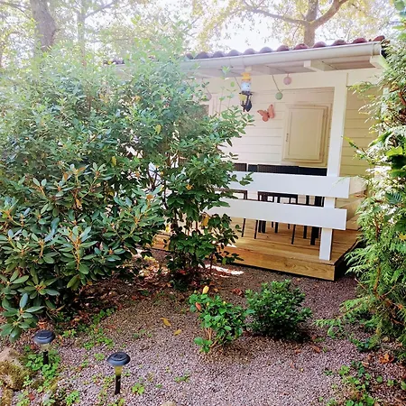 Chalet-dordogne B10 Chateau Le Verdoyer - Champs Romain, Dordogne شاليه *