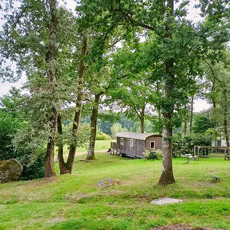 Chalet-dordogne B10 Chateau Le Verdoyer - Champs Romain, Dordogne