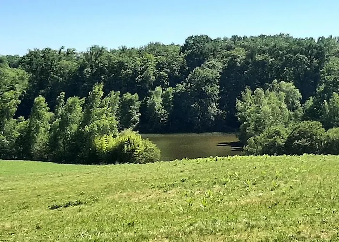 Chalet-dordogne B10 Chateau Le Verdoyer - Champs Romain, Dordogne Chalet *