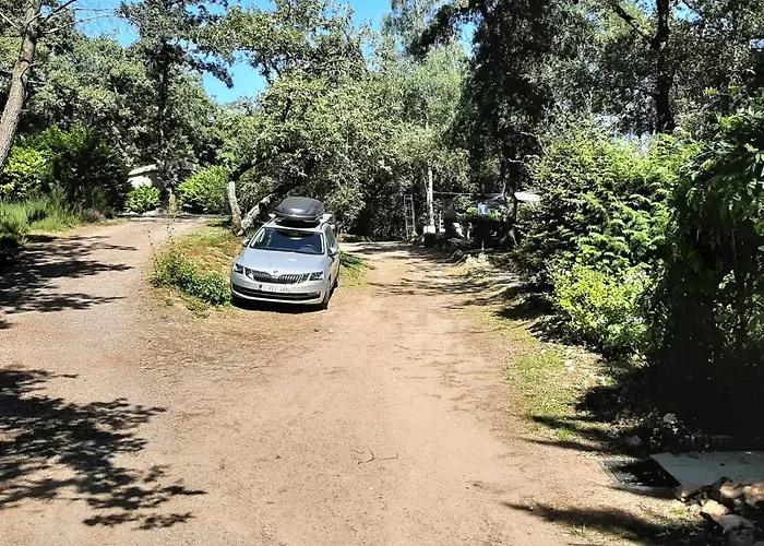 Chalet-dordogne B10 Chateau Le Verdoyer - Champs Romain, Dordogne *